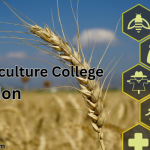 BSc Agriculture College admission